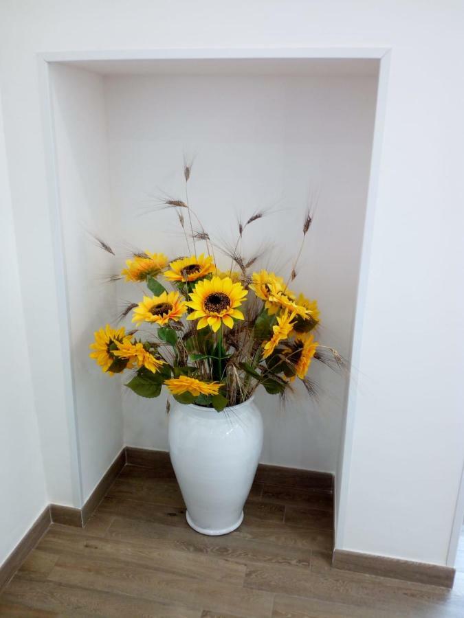 몬탈바노 Casa Magnolia 빌라 외부 사진